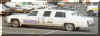 94-CatCatCar.jpg (37576 bytes)