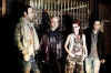 OSC11-PT-AmorElectro.jpg (89632 bytes)
